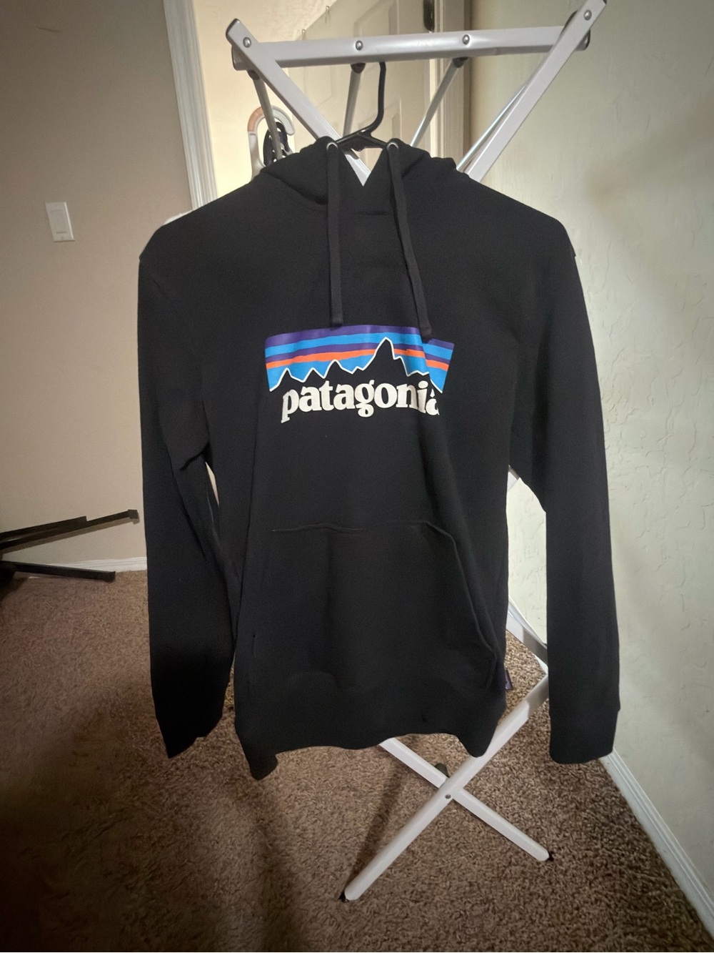Patagonia Black Pullover Hoodie with Multicolor Mountain Logo